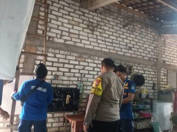 Ular Sanca 2 Meter Masuk Rumah, Polsek Brondong Lamongan Bergerak Cepat