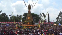 Produksi Durian Turun karena Cuaca, Kenduri Durian Wonosalam 2026 di Kabupaten Jombang Resmi Dibatalkan