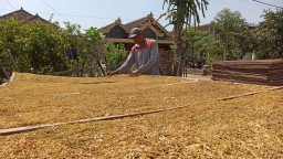 DBHCHT Ponorogo 2026 Anjlok Lebih dari 50 Persen, Ini Rincian Alokasi Anggarannya