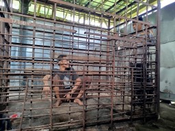 Sepanjang 2025, Ponorogo Catat Ribuan ODGJ Berat, Dua Masih Terpasung