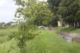 Rp 22 Miliar Aset Pemda Jombang Tertimbun Ilalang, Antara Rencana dan Keterbatasan Anggaran