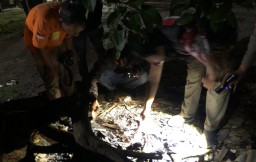 Ledakan Petasan Rakitan Lukai Lima Remaja di Jombang 