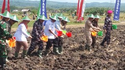 Sinergi Untuk Ketahanan Pangan, Kodaeral V dan Pemda Nganjuk Gelar Gerakan Tanam Kedelai