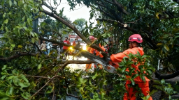 Angin Kencang Gulung 16 Pohon di Nganjuk, Jalur Nasional Sempat Tersendat