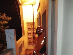 Tim OTT Damkarmat Nganjuk Evakuasi Dua Sarang Besar Tawon Vespa