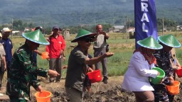 Dukung Ketahanan Pangan, Ketua DPRD Nganjuk Kawal Gerakan Tanam Kedelai Bersama TNI AL dan Kementan