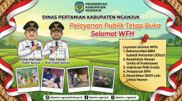 WFH Tak Jadi Hambatan, Dinas Pertanian Nganjuk Siapkan Lima Layanan Utama untuk Jaga Produktivitas Pangan