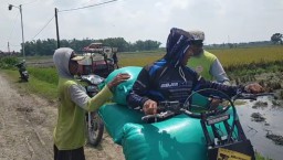 Saat Panen Raya Tiba, Ojek Gabah di Nganjuk Bisa Raup Rp350 Ribu Cuma dalam 6 Jam