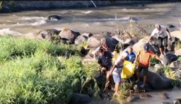 Heboh.! Warga Berbek Ditemukan Tewas Mengapung di Sungai Kuncir Ngetos