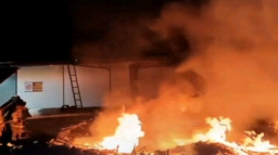 Pabrik Wood Pallet di Rejoso Ludes Terbakar, Kerugian Capai Rp 25 Juta