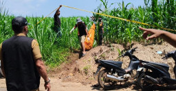 Heboh.! Mayat Membusuk Ditemukan di Kebun Jagung Wonosalam