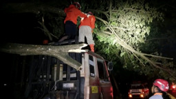 Respon Cepat.! Truk Rem Blong Serempet Pohon, BPBD Nganjuk Bersihkan Jalan Kurang dari Sejam