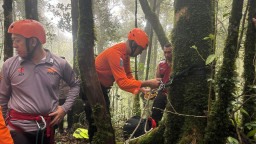 Tim SAR Evakuasi Jenazah Pendaki dari Dasar Jurang Gunung Batukaru Tabanan Bali