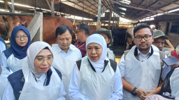 Pastikan Stock Aman, Mas Handy Dampingi Khofifah Tinjau Sapi Kurban di Sukorejo