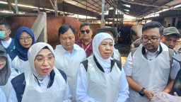 Lapak Kurban Tepi Jalan Dibatasi, Pemprov Jatim Terapkan SOP Ketat