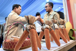 Indonesia Penuhi Gudang Bulog dan Ekspor Pupuk ke Australia dari Tuban 