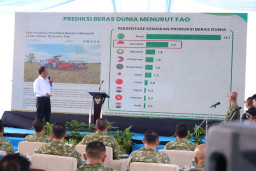 Indonesia Berhasil Capai Swasembada Sejumlah Komoditas, Mentan: Kedelai Saja yang Masih Impor