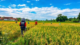 Waspada Angin Kencang,  Prakirawan BMKG : Nganjuk Mulai Masuk Musim Kemarau