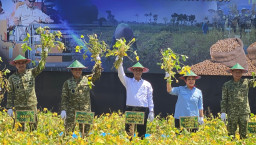 Panen Raya, TNI AL Gerakkan Lumbung Kedelai Nganjuk, Dukung Swasembada Pangan Nasional