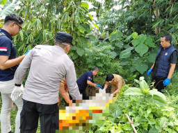 Begini Kronologi Penemuan Mayat Perempuan Lansia di Parit Sawah Semboro