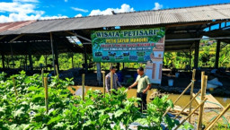 Blusukan ke Kebun Sayur, Polres Blitar Kawal Ketahanan Pangan hingga Pelosok Desa