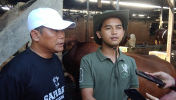 Siap Sambut Idul Kurban, Kandang Sapi Baru Nganjuk Ready Stock 255 Ekor, Wali Kota Eri Cahyadi Sudah Borong 5