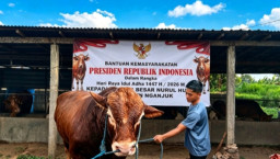 Sengatan Dolar Tak Halangi Langkah Jovan, Peternak Milenial Nganjuk yang Sukses Jinakkan Harga Pasar
