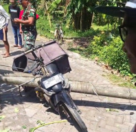 Hendak Antar Pesanan Ayam, Pria di Jember Tewas Tertimpa Tiang Listrik