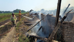 Kandang Ayam Ratusan Meter di Jombang Ludes Terbakar, Kerugian Capai Rp 2 Miliar