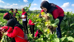 Siasati Harga Sembako Meroket, Mbak Dora dan Kader PDIP Jombang Bagi-Bagi Ribuan Sayur Organik Gratis
