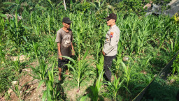 Polisi Blitar Turun ke Sawah, Kawal Swasembada Pangan Lewat Patroli Dialogis