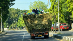 Adu Nyali di Atas Tumpukan Jerami, Satlantas Polres Nganjuk Warning Truk 'Over Dimensi' yang Nekat Angkut Penumpang