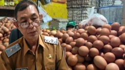 Bumi Anjuk Ladang Melimpah Telur & Bawang, Pemkab Nganjuk Gandeng SPPG Amankan Rantai Pasok Langsung dari Petani