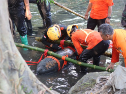 Geger.! Bom Udara Sisa Penjajahan Seberat 100 Kg Berhasil Diangkat dari Sungai Kalilahar Blitar