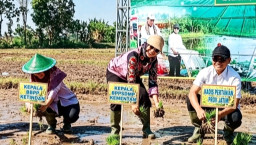 Nganjuk Genjot Swasembada Pangan Lewat Gerakan Tanam Serempak di Gemenggeng Pace