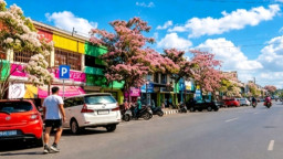 Nggak Perlu Tiket ke Tokyo, Nganjuk Punya "Spot Jepang" Sendiri di Jalan Ahmad Yani