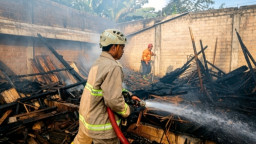 Mesin Penghangat Kandang Korslet, 450 Ayam di Blitar Ludes Terpanggang, Peternak Rugi Rp 100 Juta Lebih