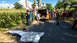 Jatuh dari Pohon Randu Saat Cari Pakan, Pria Asal Kertosono Meninggal Dunia