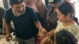 Peternak Pusing Harga Telur Anjlok, Ribuan Burung Puyuh Dibagi-bagikan Gratis ke Warga Blitar