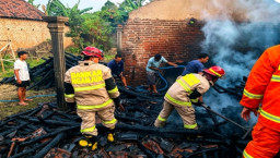 Kandang Warga Ngronggot Ludes Terbakar saat Ditinggal Bepergian, Damkar Nganjuk Bergerak Cepat Lokalisir Api