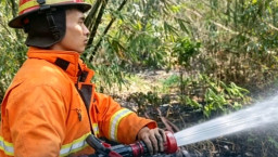 Gerak Cepat Damkarmat Nganjuk Padamkan Kobaran Api di Rumpun Bambu yang Mengancam Permukiman Tanjunganom