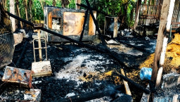 Kandang Ludes Terbakar, 21 Ribu Anak Ayam Hangus, Peternak Blitar Rugi Rp 1 Miliar