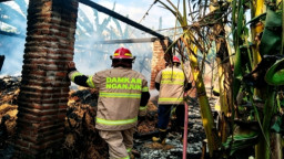 Waspada Angin Kencang.! Nganjuk Dihantam 98 Kasus Kebakaran Hingga Akhir Juli