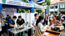 Kabar Gembira Pet Lovers Nganjuk, Ada Program Sterilisasi Kucing Gratis, Ini Syarat dan Cara Daftarnya