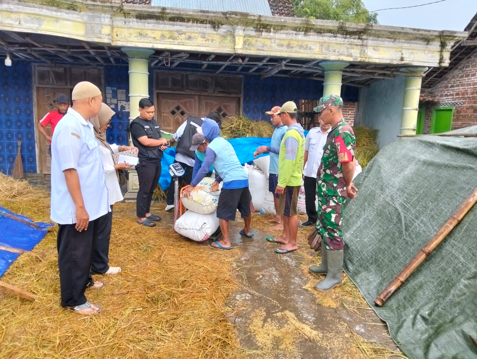 Babinsa Koramil Bagor Dukung Bulog Bantu Serap Gabah Petani di Wilayah Kec. Bagor