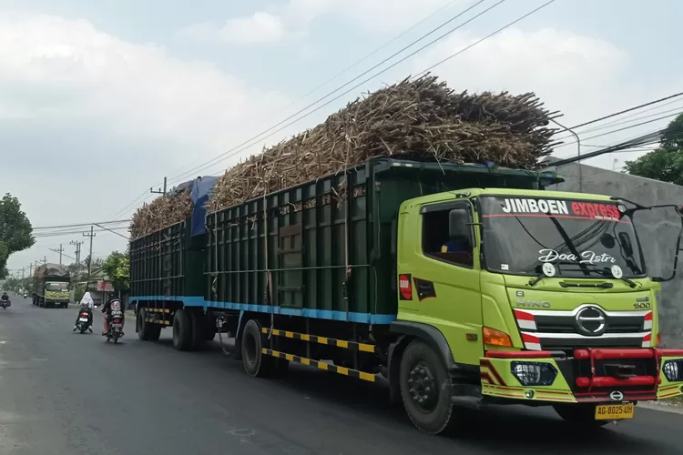 Truk Angkut Tebu ODOL Marak di Kediri, Dishub Siapkan Razia dan Tilang