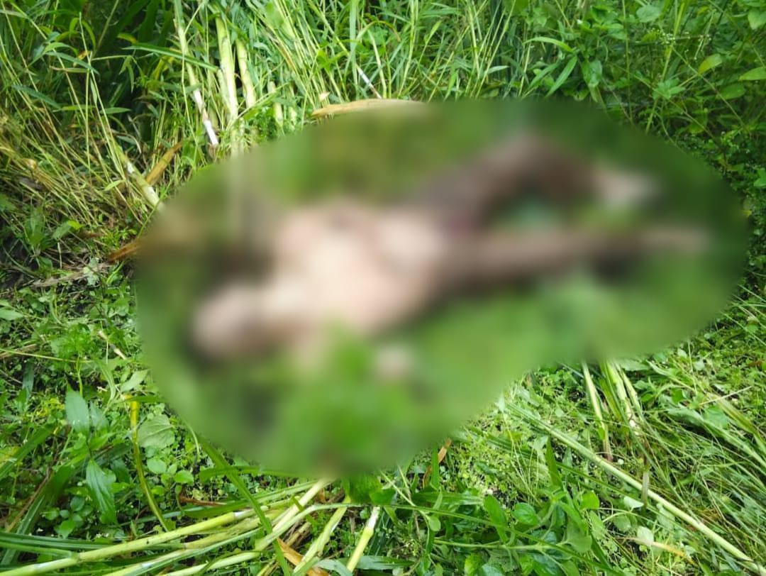 Jenazah Pria Misterius Ditemukan di Alas Coban Manan Pujon Kidul, Polisi Lakukan Penyelidikan