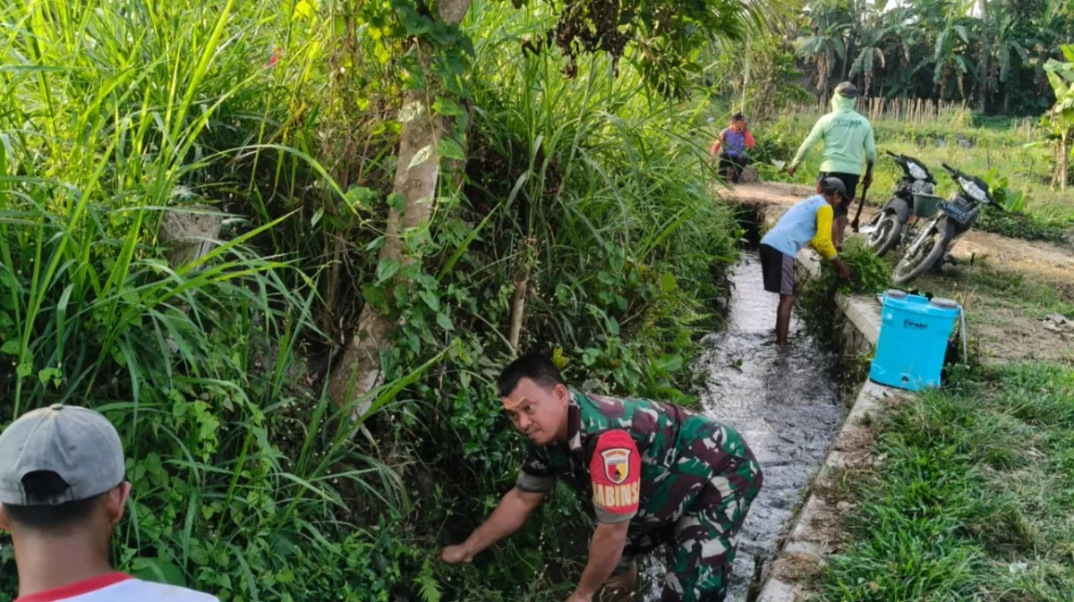 Sikat Lumpur dan Gulma, Babinsa Blitar Turun Tangan Amankan Pasokan Air Sawah Petani