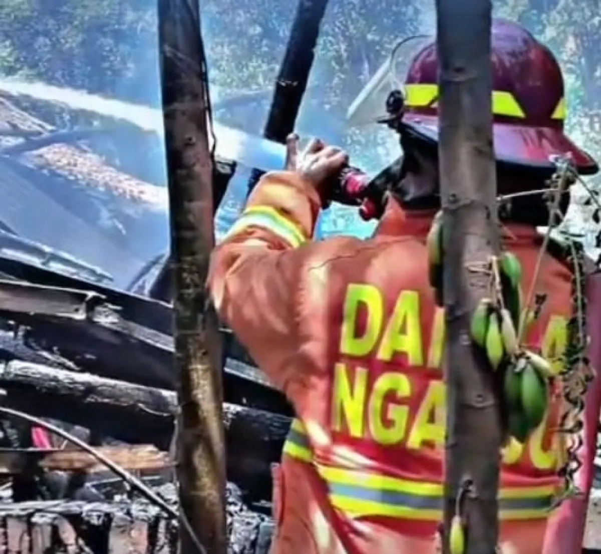 Ditinggal Cari Pakan Saat Hangatkan Sayur, Dapur dan Kandang Kambing di Nganjuk Ludes Terbakar