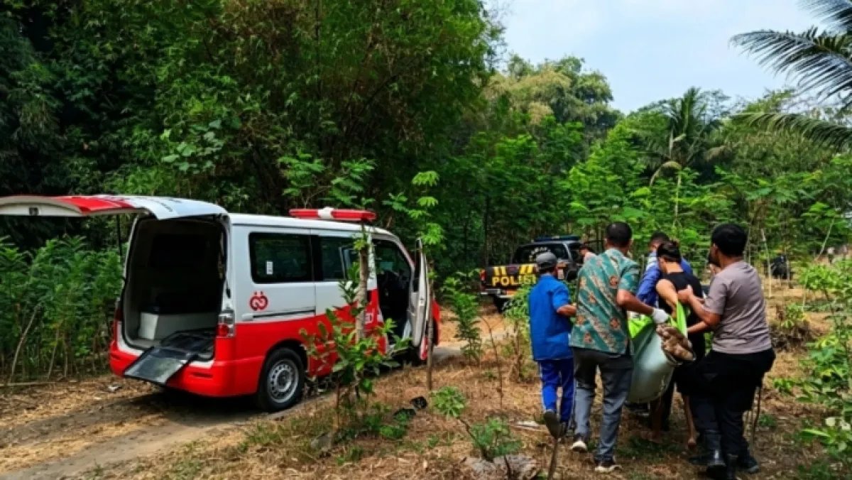 L300 Terjun ke Jurang Sungai Jari Blitar, Pengemudi Tewas di Lokasi
